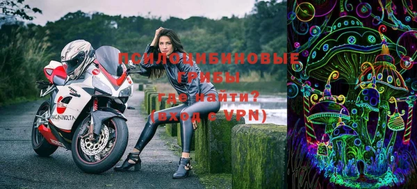 гашик Пересвет